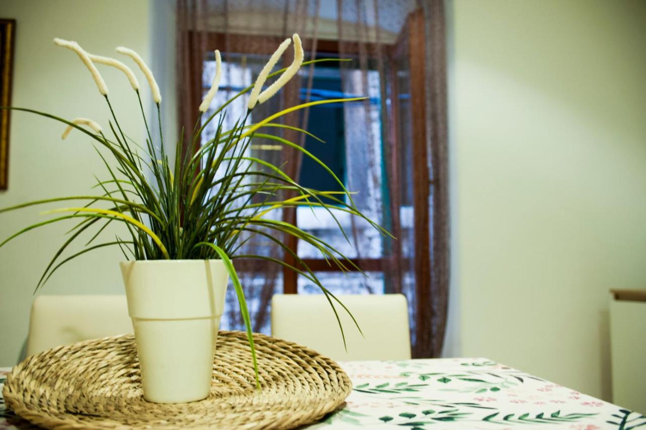 Apartman Flower Sibenik Luaran gambar