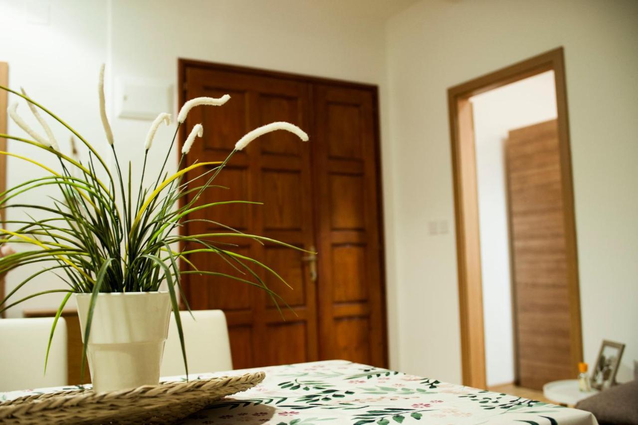 Apartman Flower Sibenik Luaran gambar